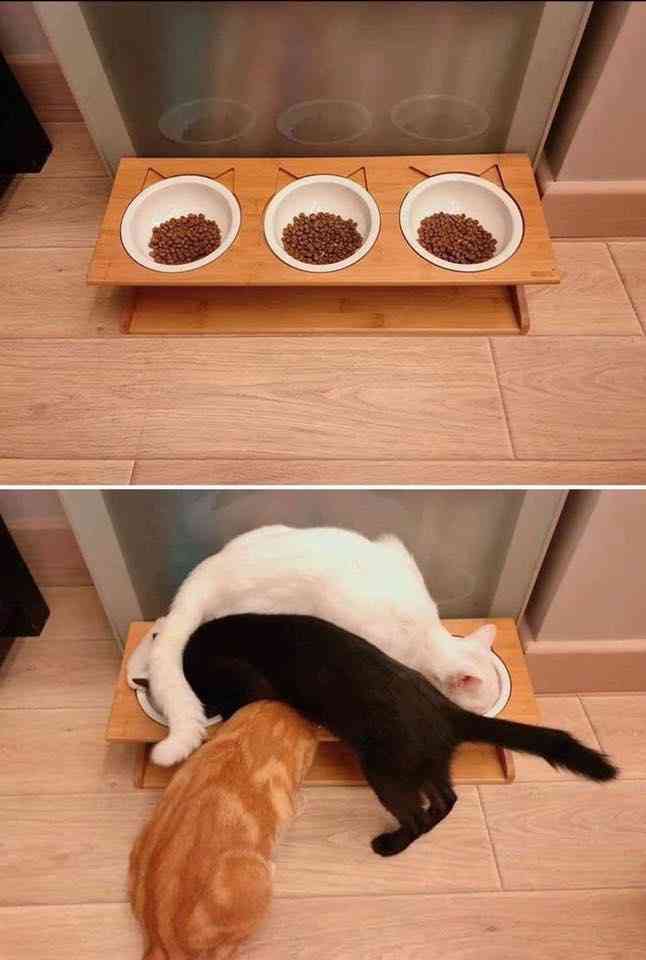 【食洗機対応】お勧めの食器教えて！