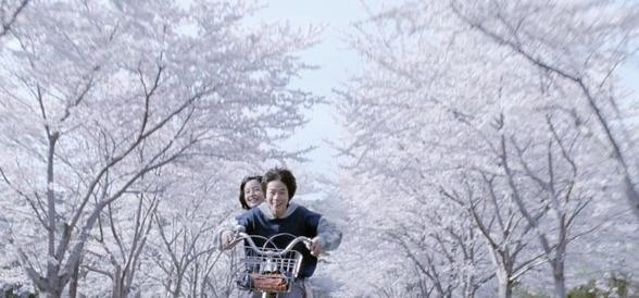 【映画も漫画も】海街diaryを語りたい