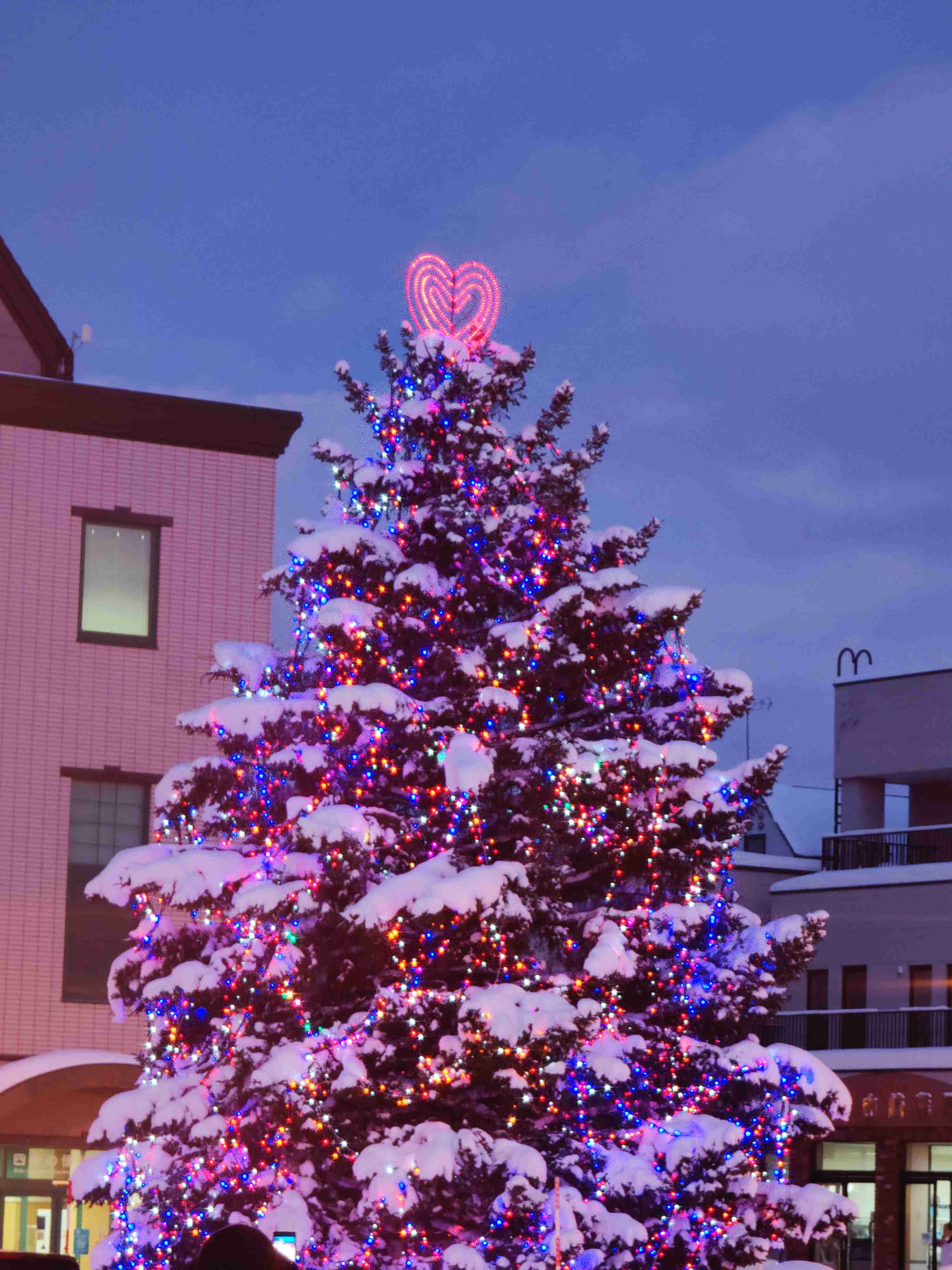 おいでよ🎄ガル民のクリスマス雑談トピ