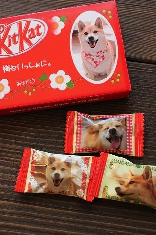 小額な出産祝いのお返しについて