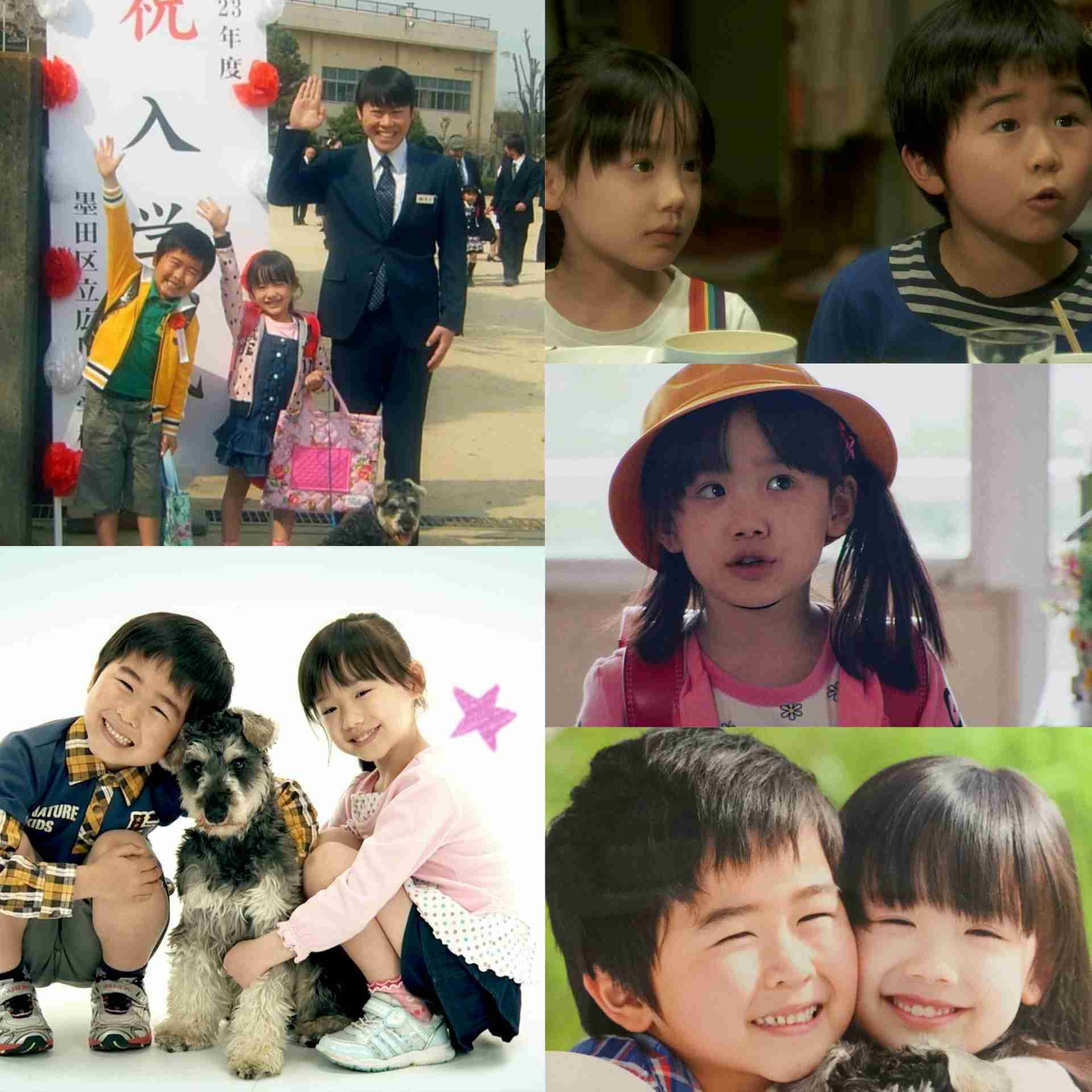 芦田愛菜主演ドラマ「エンディングカット」来年3月放送！両親役に佐藤隆太＆広末涼子