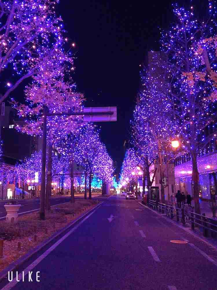 恋人or旦那がいる人　クリスマスは何して過ごす？