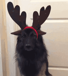 恋人or旦那がいる人　クリスマスは何して過ごす？