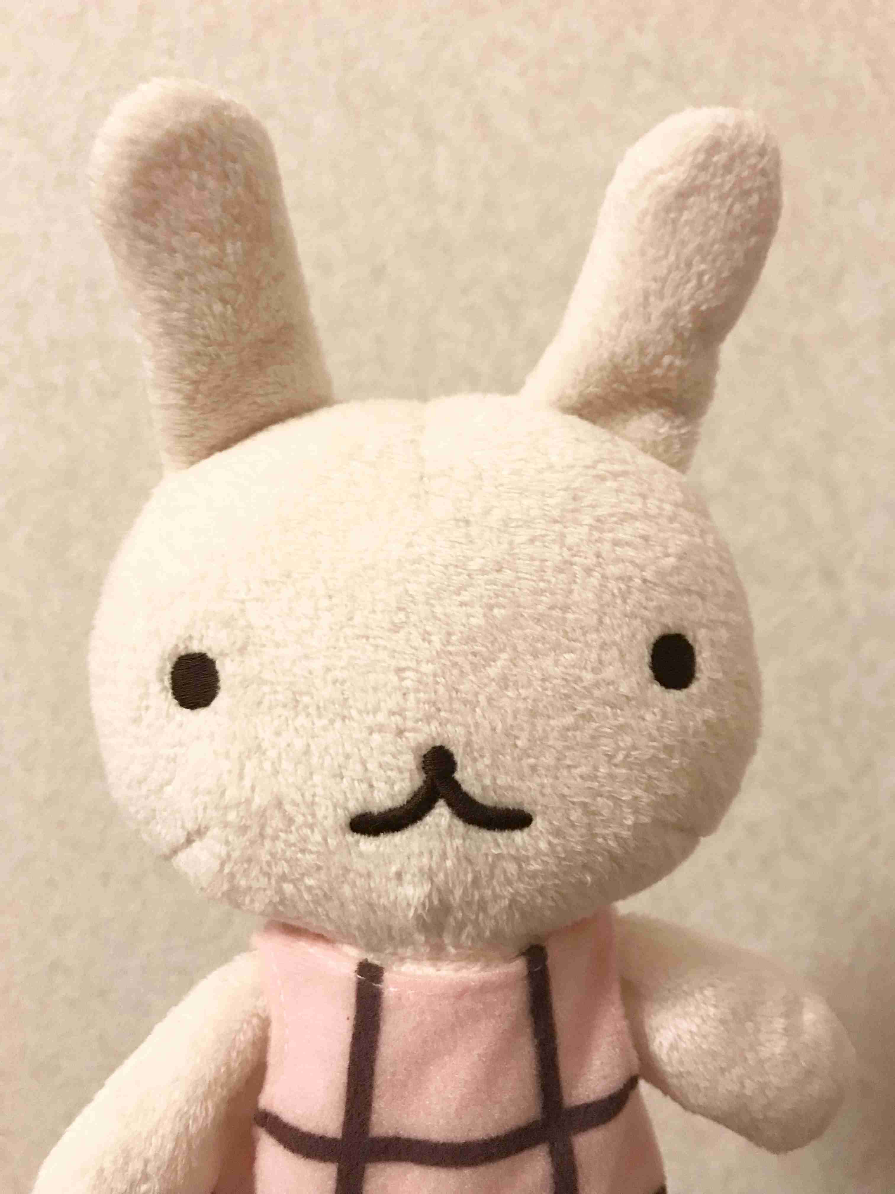 【探し物】これを探しています！！