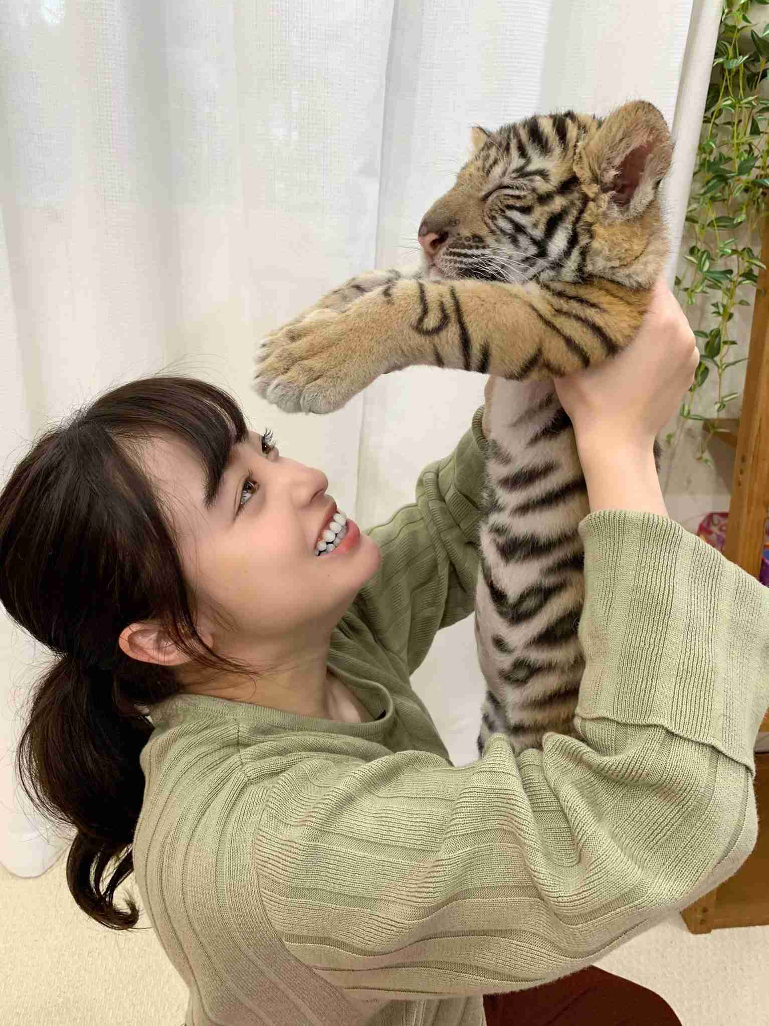 来年の干支🐯色んな虎を貼っていきましょう