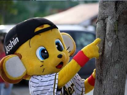 来年の干支🐯色んな虎を貼っていきましょう