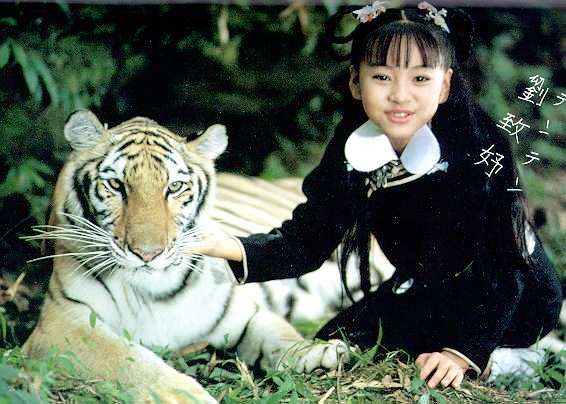 来年の干支🐯色んな虎を貼っていきましょう