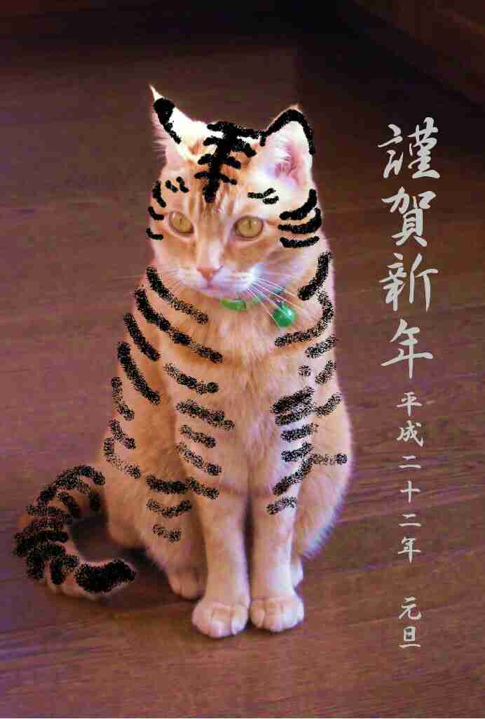 来年の干支🐯色んな虎を貼っていきましょう