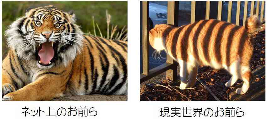 来年の干支🐯色んな虎を貼っていきましょう