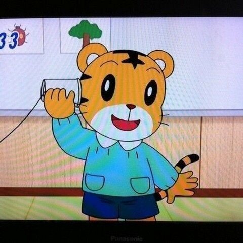 来年の干支🐯色んな虎を貼っていきましょう