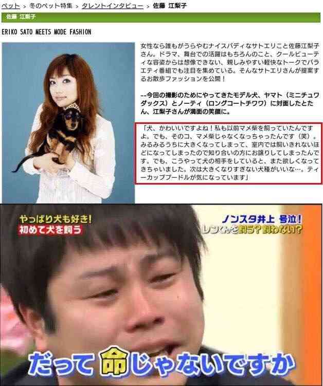 「感じ悪い」「女優気取り」佐藤江梨子に批判 芸人のネタに無表情で「トラウマがある」と明かす