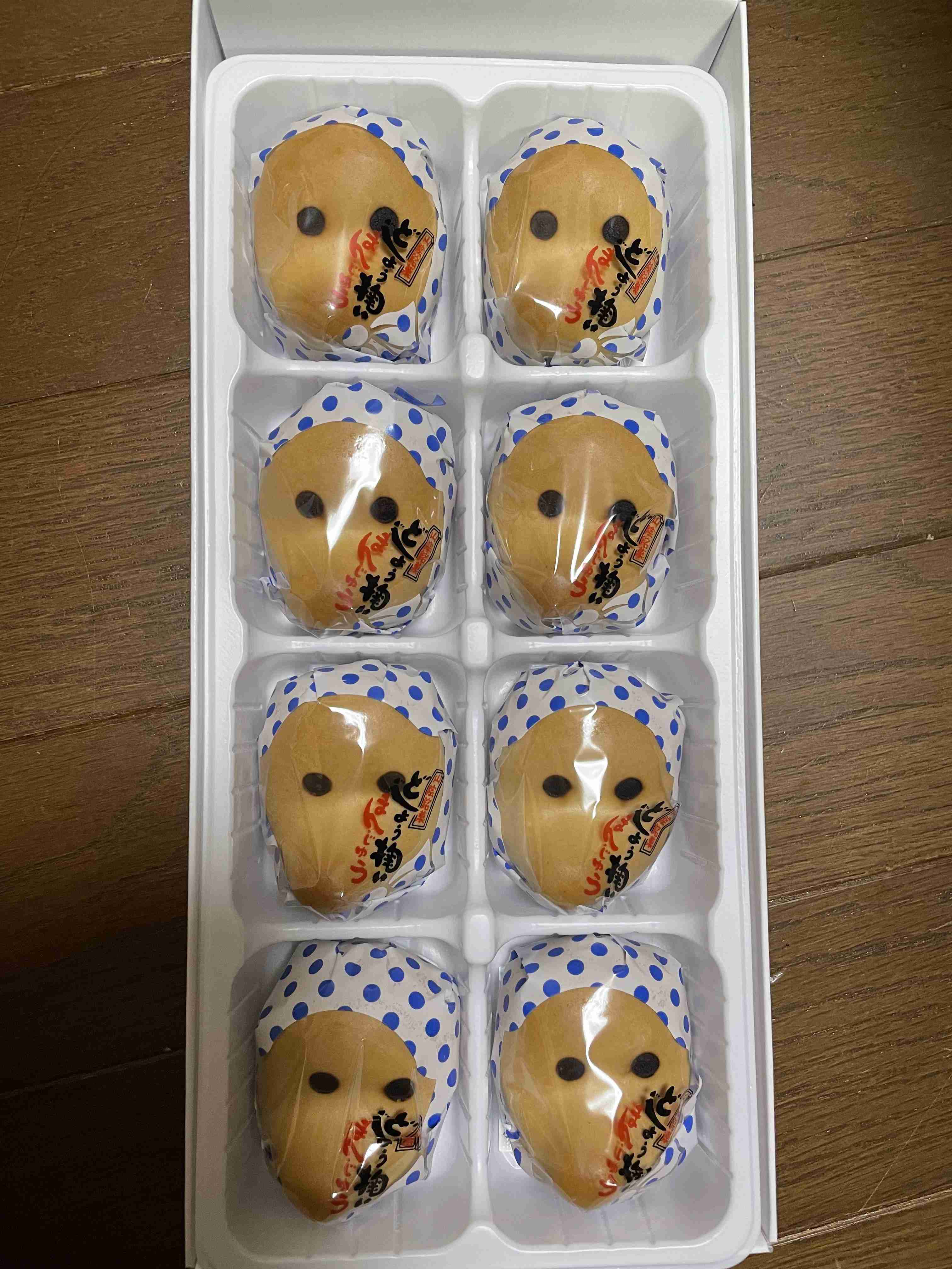 いろんな県や町の美味しいお菓子が知りたい