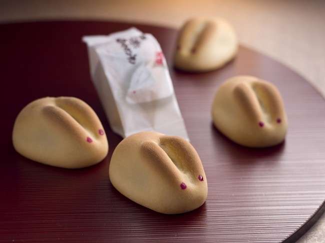 いろんな県や町の美味しいお菓子が知りたい