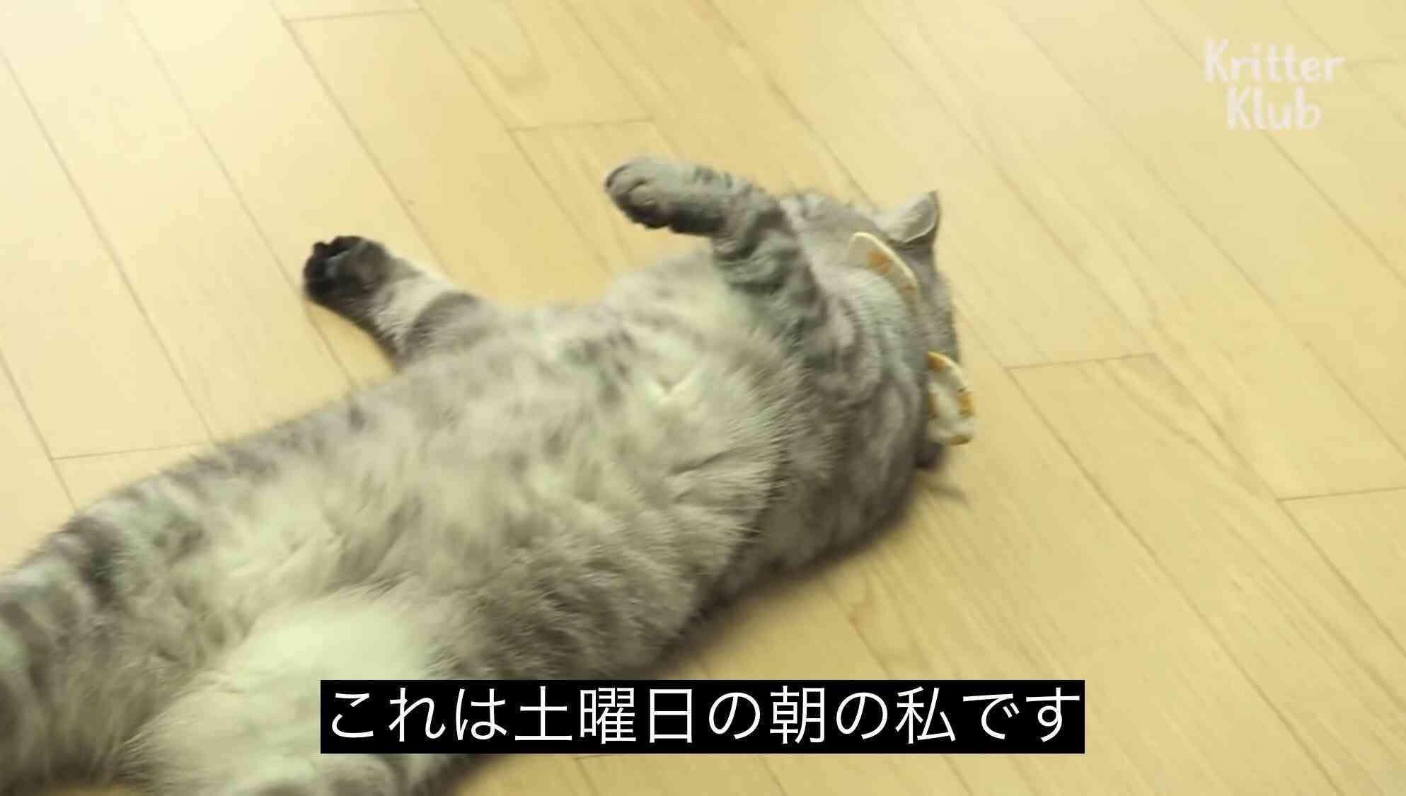 ○○な時の私です(画像) part3
