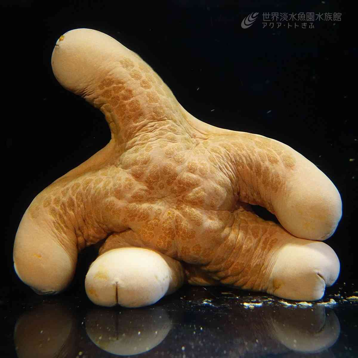 ヤりたいだけの男の見分け方