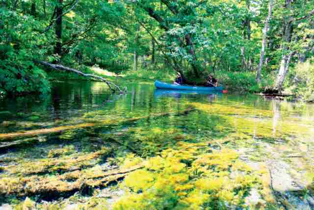 【急募】北海道の良さ