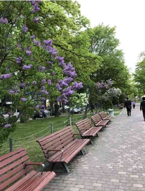 【急募】北海道の良さ