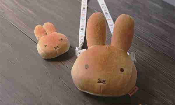 お腹が空いたらかじっちゃいそう！　おいしそうすぎる「巨大あんぱんポシェット」に反響