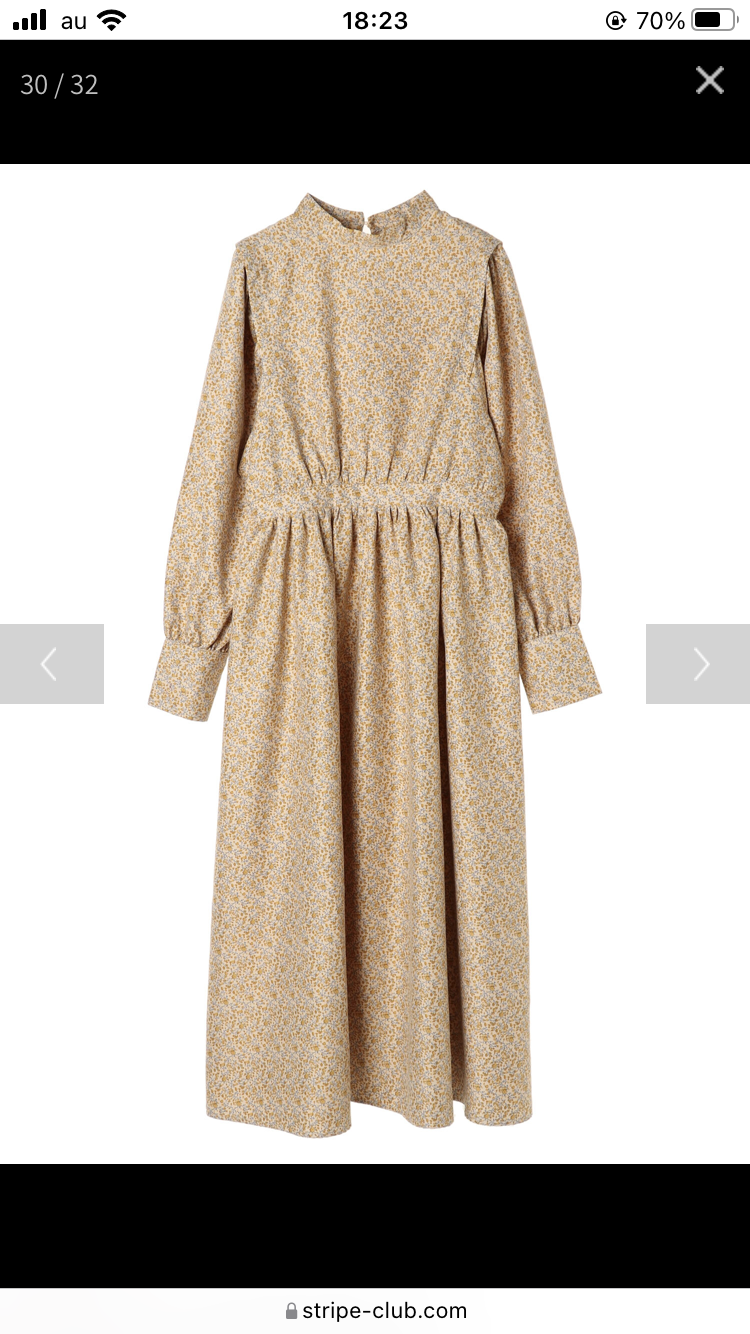 骨格ストレート【総合2021】