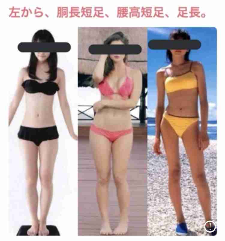 骨格ストレート【総合2021】