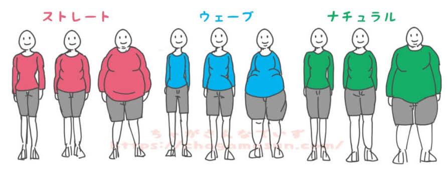 骨格ストレート【総合2021】