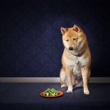 クリスマスプレゼント報告会！【2021】