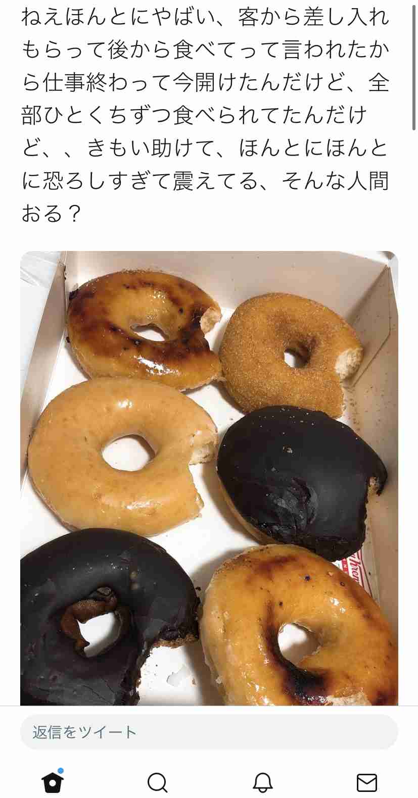 びっくりクリスマスプレゼント選手権