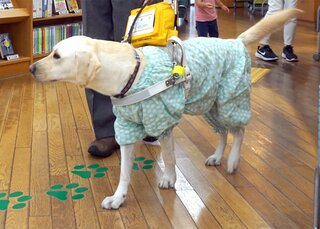 病院が盲導犬同伴を拒否、視覚障害者が困惑　不十分な補助犬への社会的理解