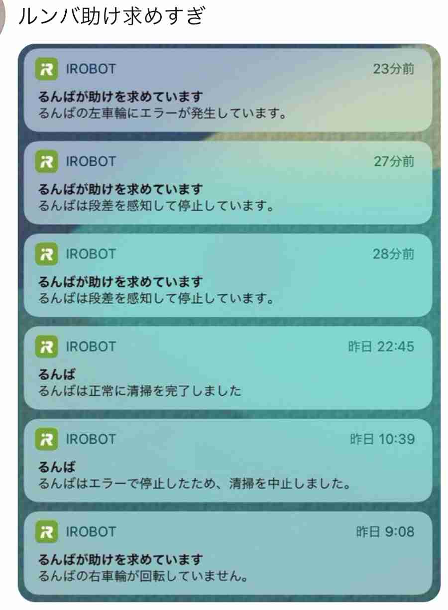 皆さん、大掃除は済みましたか？