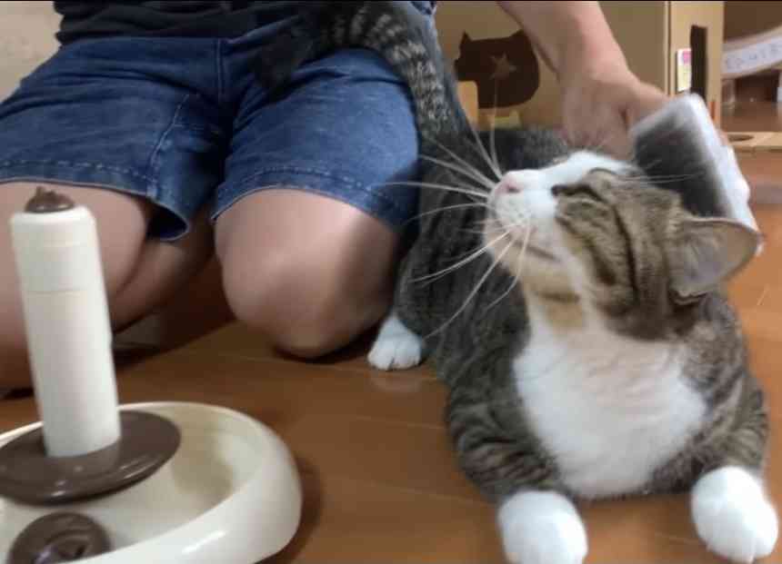 【既婚者】夫との最初の出会い