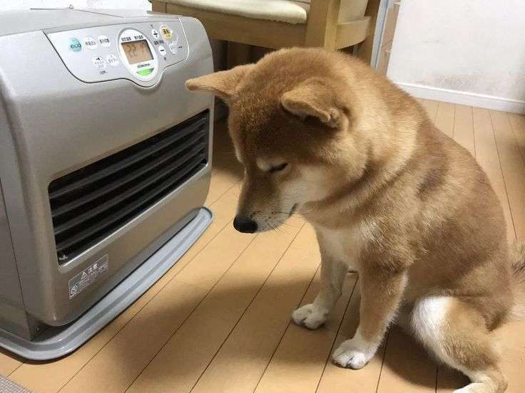 曲名の前に「ホテル」を付けてラブホテルっぽい名前を考えるトピPart9