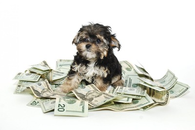 今まで付き合った人の中で一番お金持ちだった人ってどんな人でしたか？