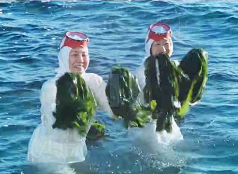 わかめ好きな人ー！