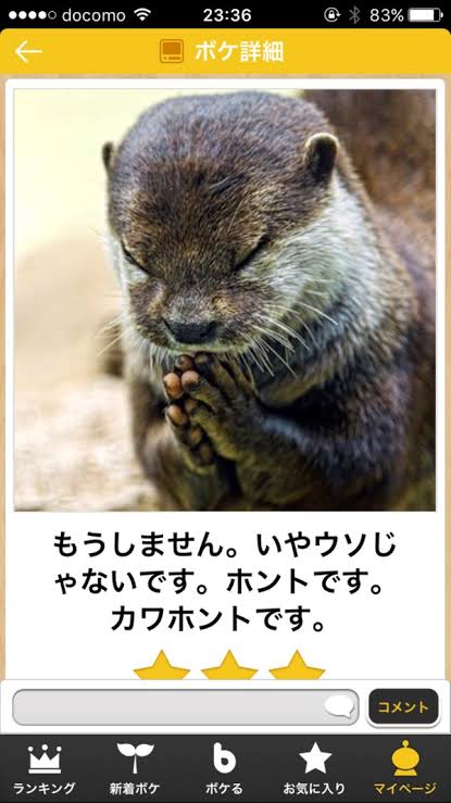 野生のカワウソに襲われた男性「26か所も噛まれて本当に死ぬかと思った」（シンガポール）