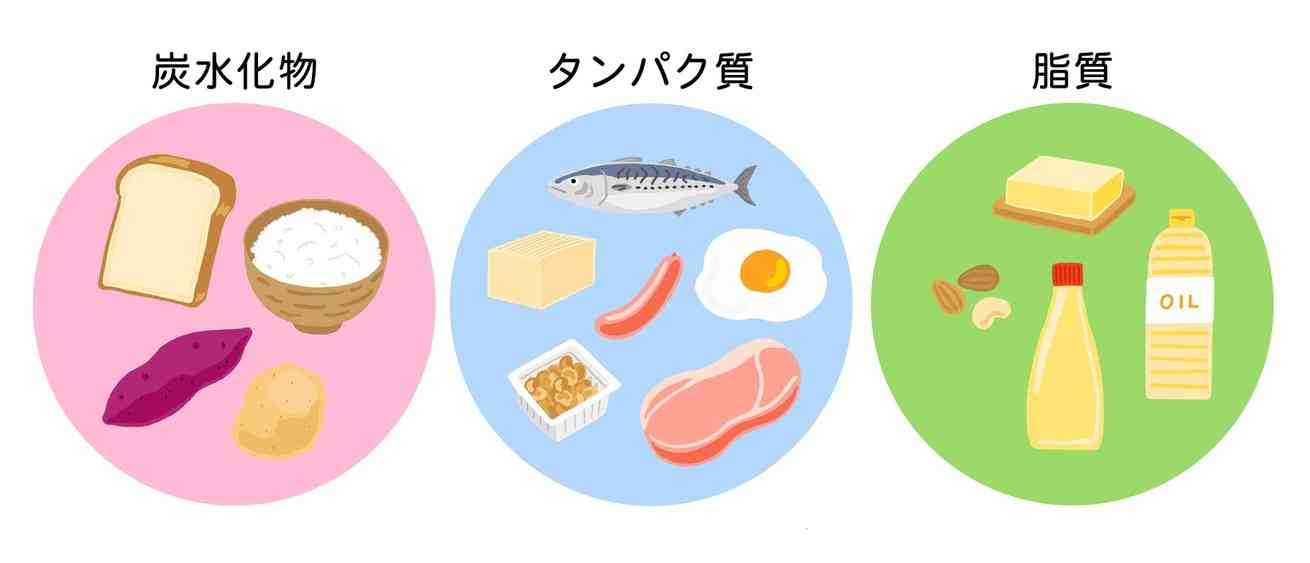 痩せている人は炭水化物を控えめにしていますか？