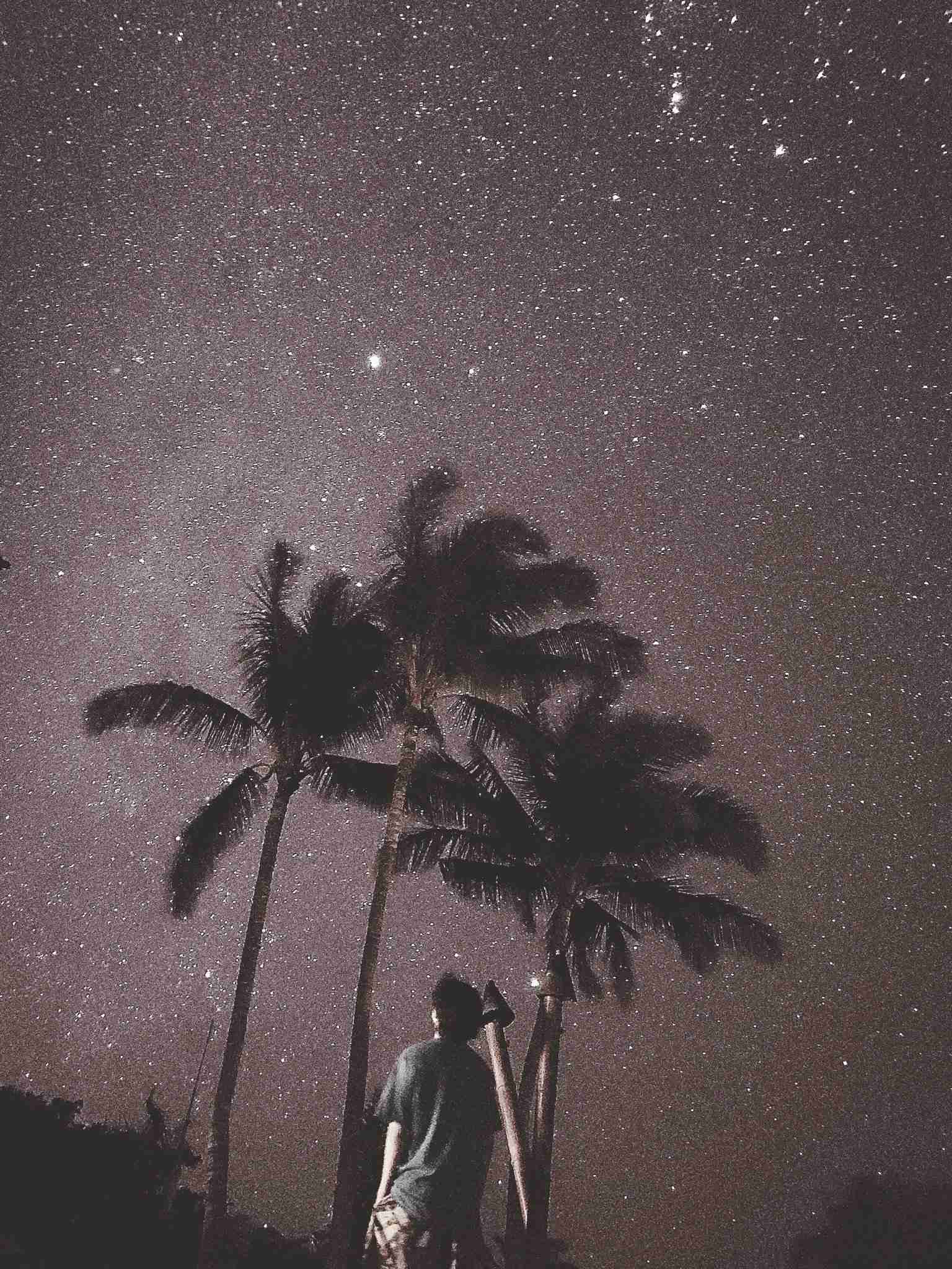 【月末です】解約予定のものと理由を書きこむトピ