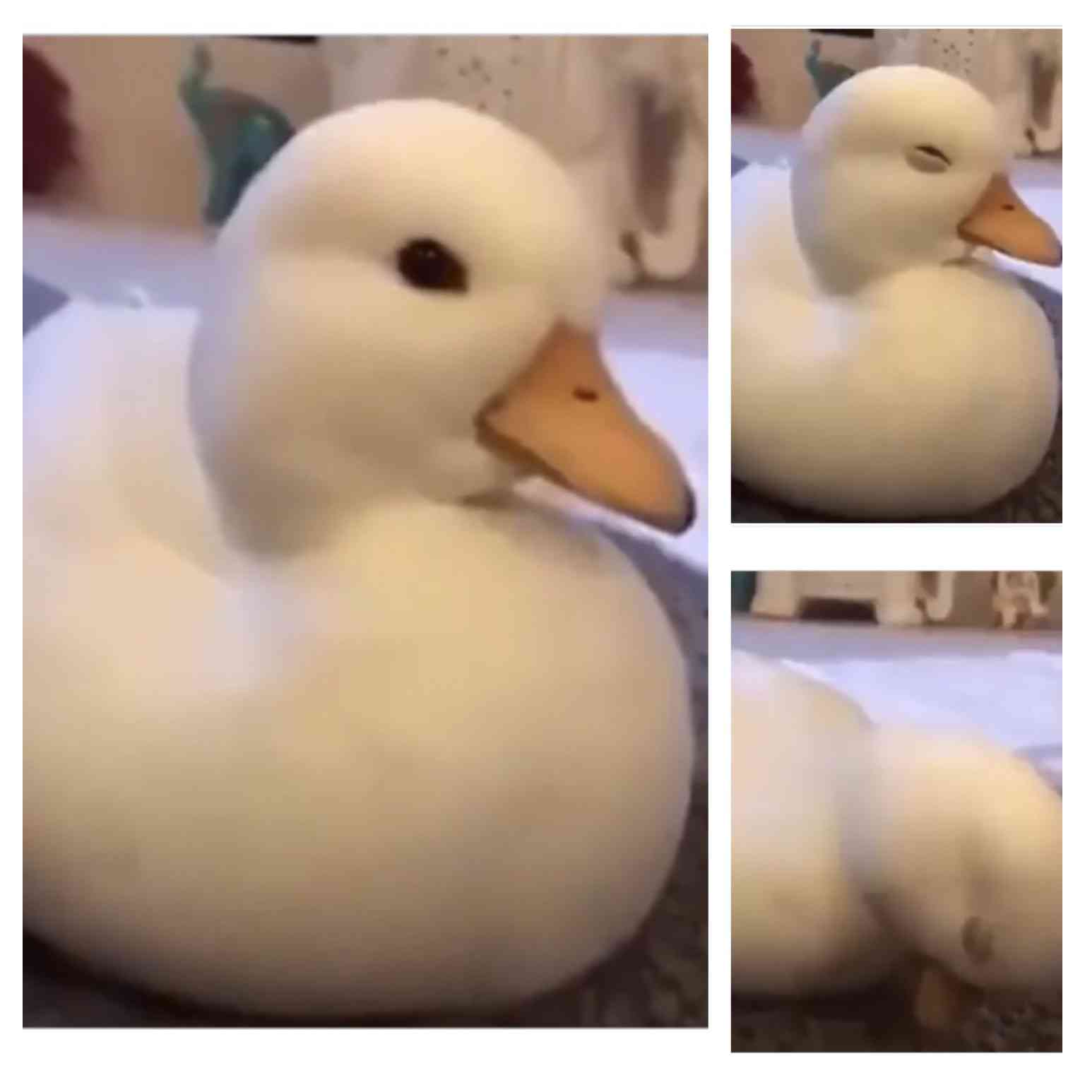 富岳4冠4連覇　スパコン世界ランク