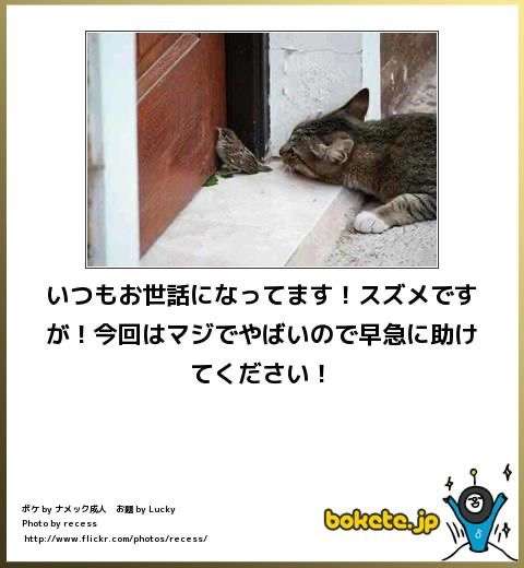 富岳4冠4連覇 スパコン世界ランク