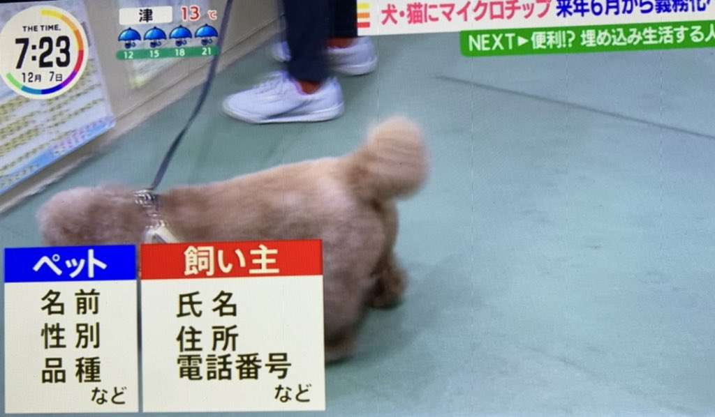 富岳4冠4連覇 スパコン世界ランク