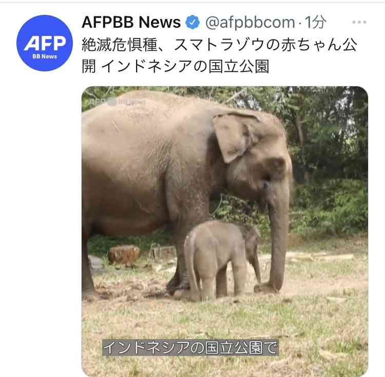 富岳4冠4連覇　スパコン世界ランク