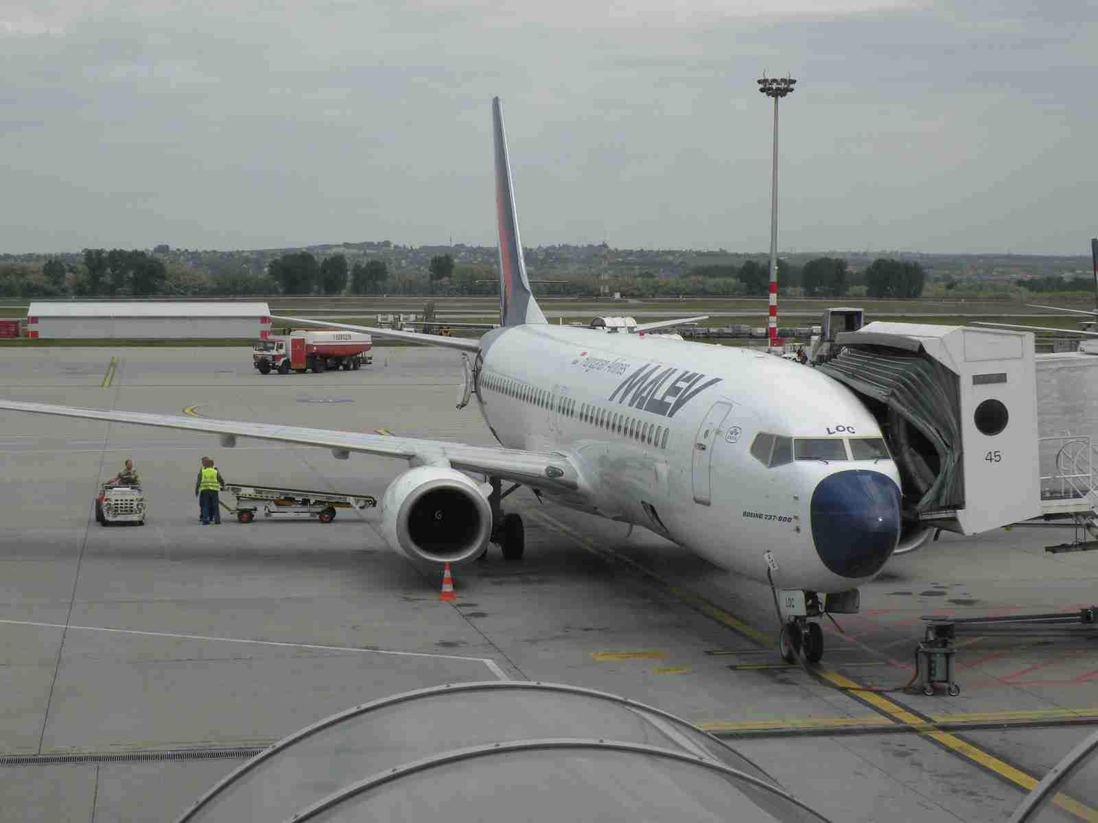 利用したことのある航空会社