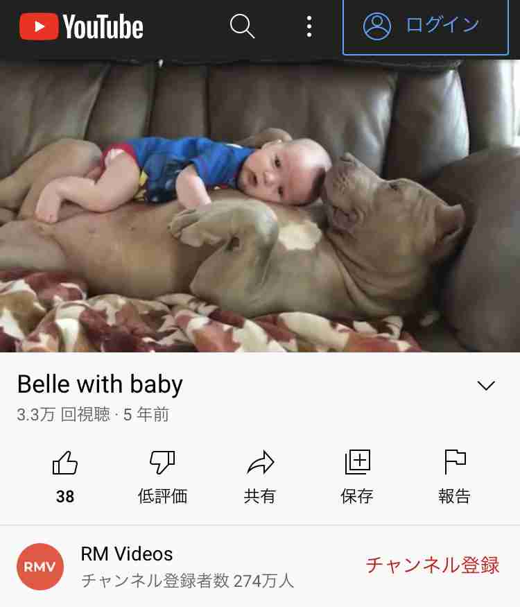 飼い犬に襲われた4歳息子を守った母親、両腕を噛みちぎられ8日後に死亡（米）