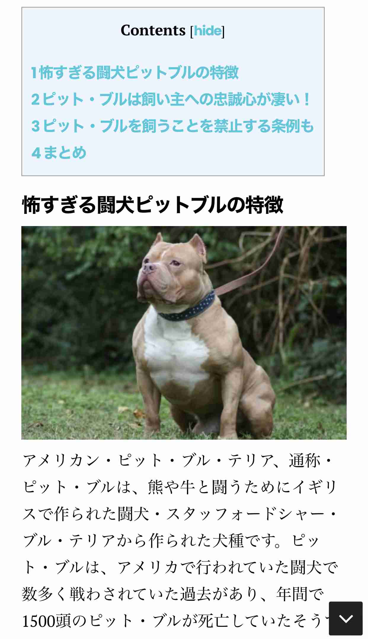 飼い犬に襲われた4歳息子を守った母親、両腕を噛みちぎられ8日後に死亡（米）