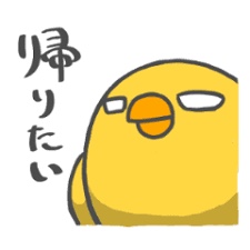 帰れなくなった出来事！