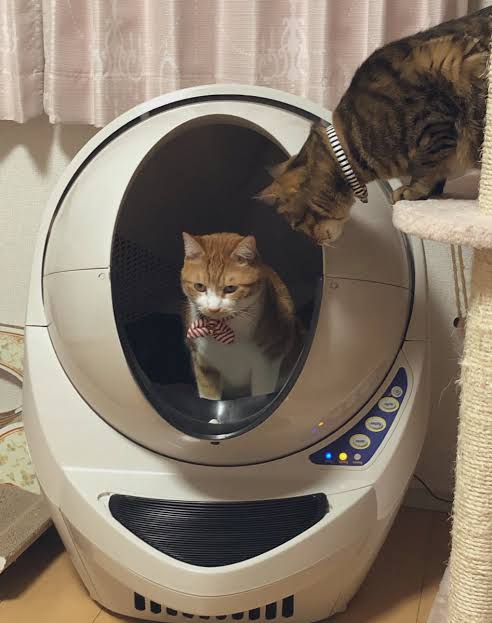 猫の自動トイレ