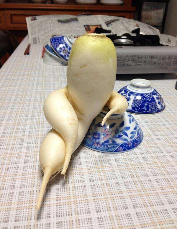 野菜の世界にガルちゃんがあったら立ちそうなトピ