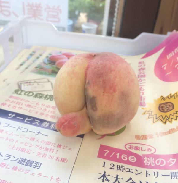 これ何に見える? 一部のネットユーザーがざわついた錯覚画像