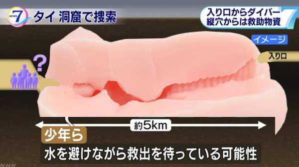 これ何に見える? 一部のネットユーザーがざわついた錯覚画像