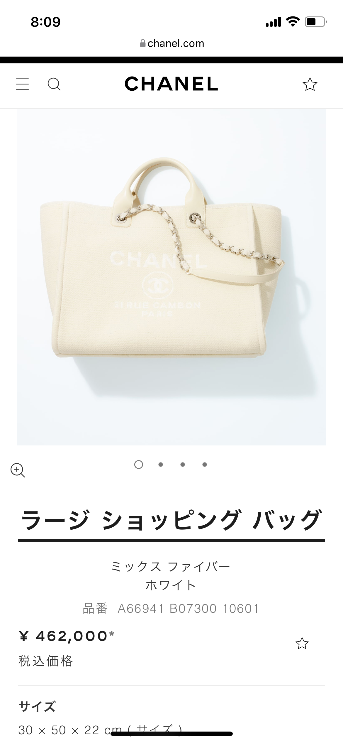 A4サイズのブランドバッグ