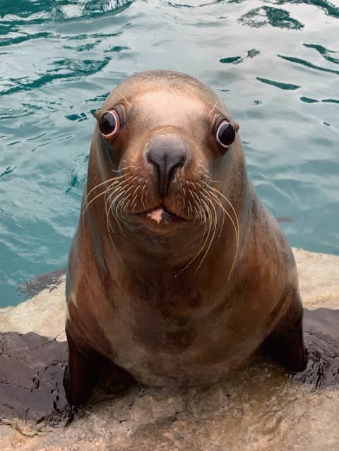 TODO(やる事)リストつけてる方、いつ見てますか?